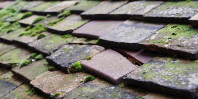 Hambleden roof repair costs